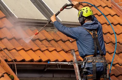 Démoussage et hydrofuge de toiture à Fatines